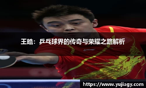 王皓：乒乓球界的传奇与荣耀之路解析